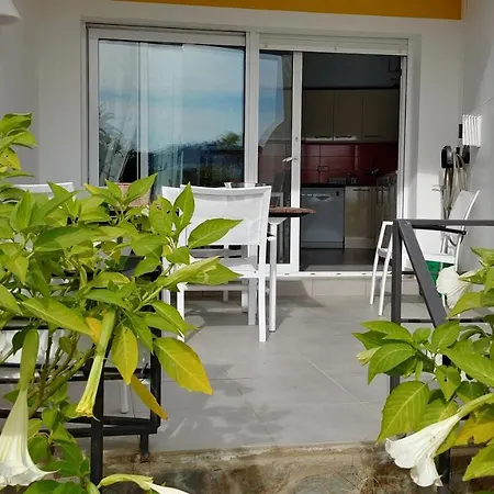 Oasis B3