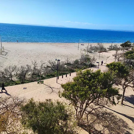 Oasis B3 * Ρόζες
