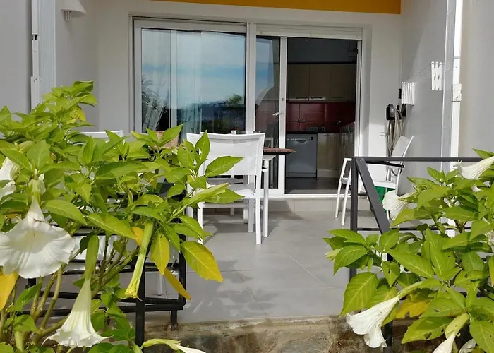 Oasis B3